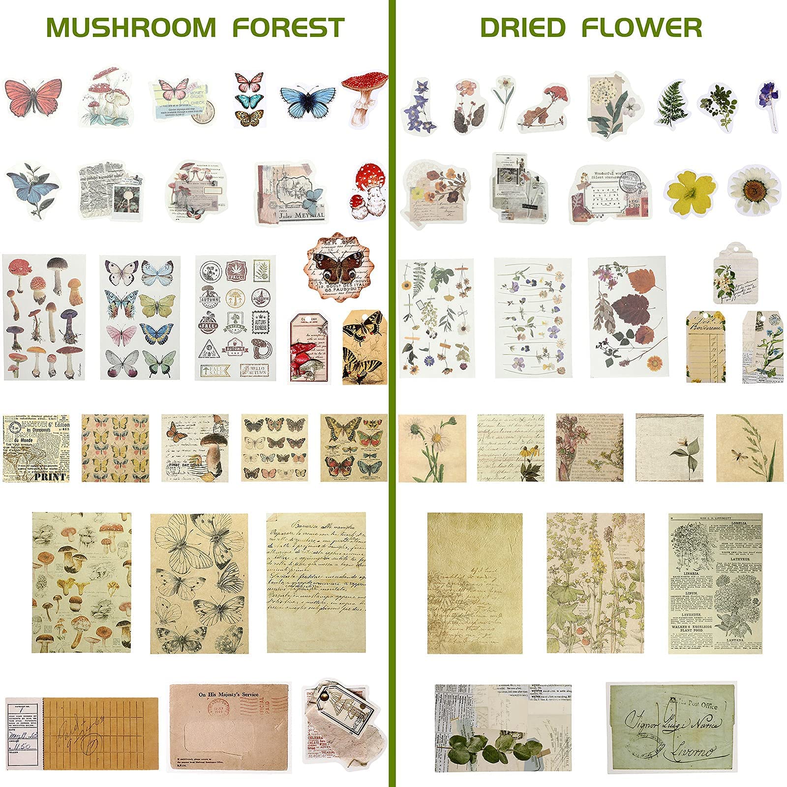 HASTHIP  120 Pieces Vintage Scrapbooking Stickers DIY Journaling Scrapbook Adhesive Washi Paper Stamp Stickers Antique Retro Natural Collection Stickers Diary Journal Embellishment Supplies HASTHIP  120 Pieces Vintage Scrapbooking Stickers DIY Journaling Scrapbook Adhesive Washi Paper Stamp Stickers Antique Retro Natural Collection Stickers Diary Journal Embellishment Supplies